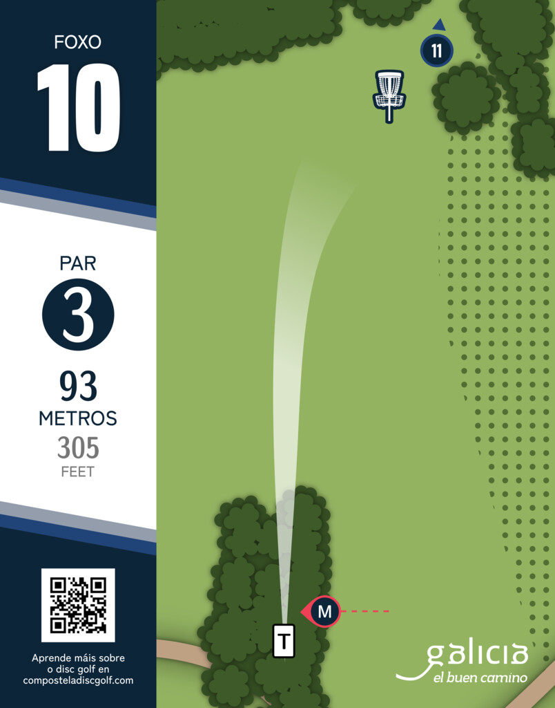 Cartel del hoyo 10